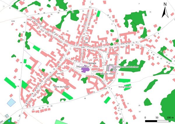 Représentation cartographique de la BD TOPO autour de Larchant (77) au 1 : 2 500
